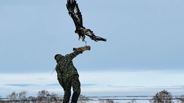   © Photo : Пресс-службаУправления физической культуры и спорта Акмолинской области