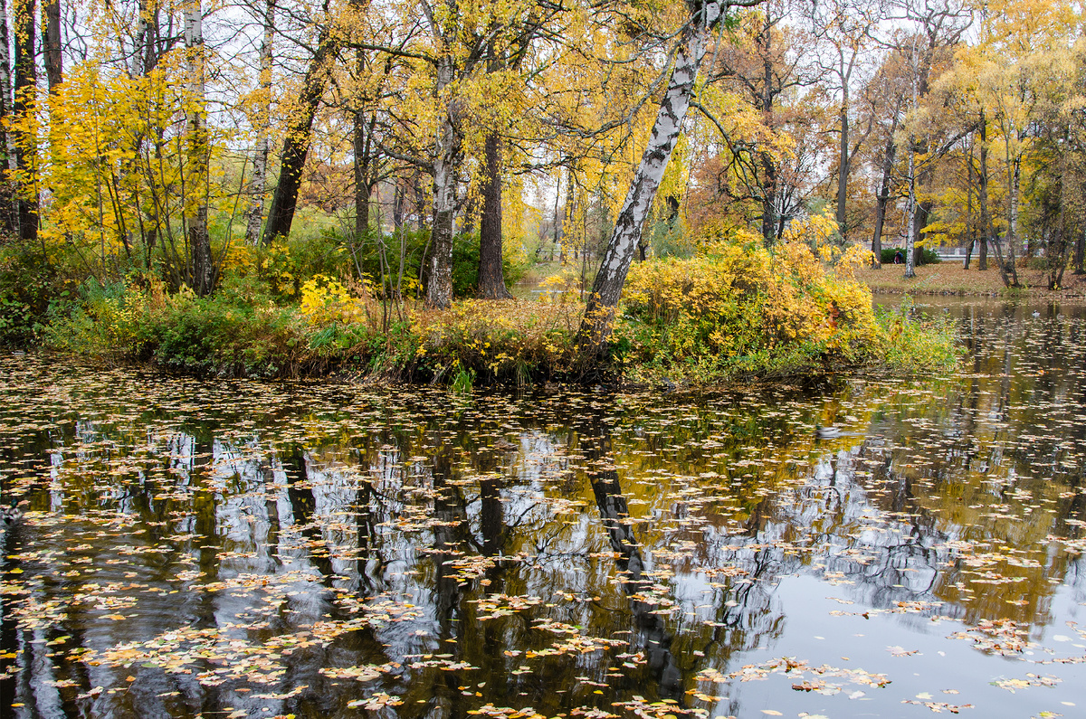 Осенний пейзаж из городского парка.