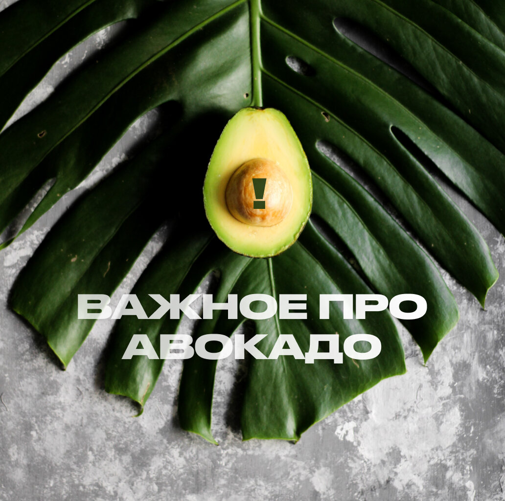 Авокадо: польза и применение
