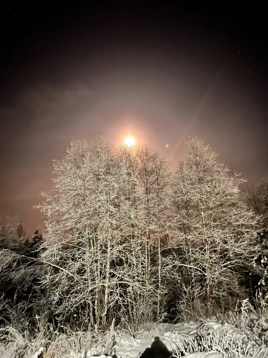 Зимний лес за городом особенно красив!