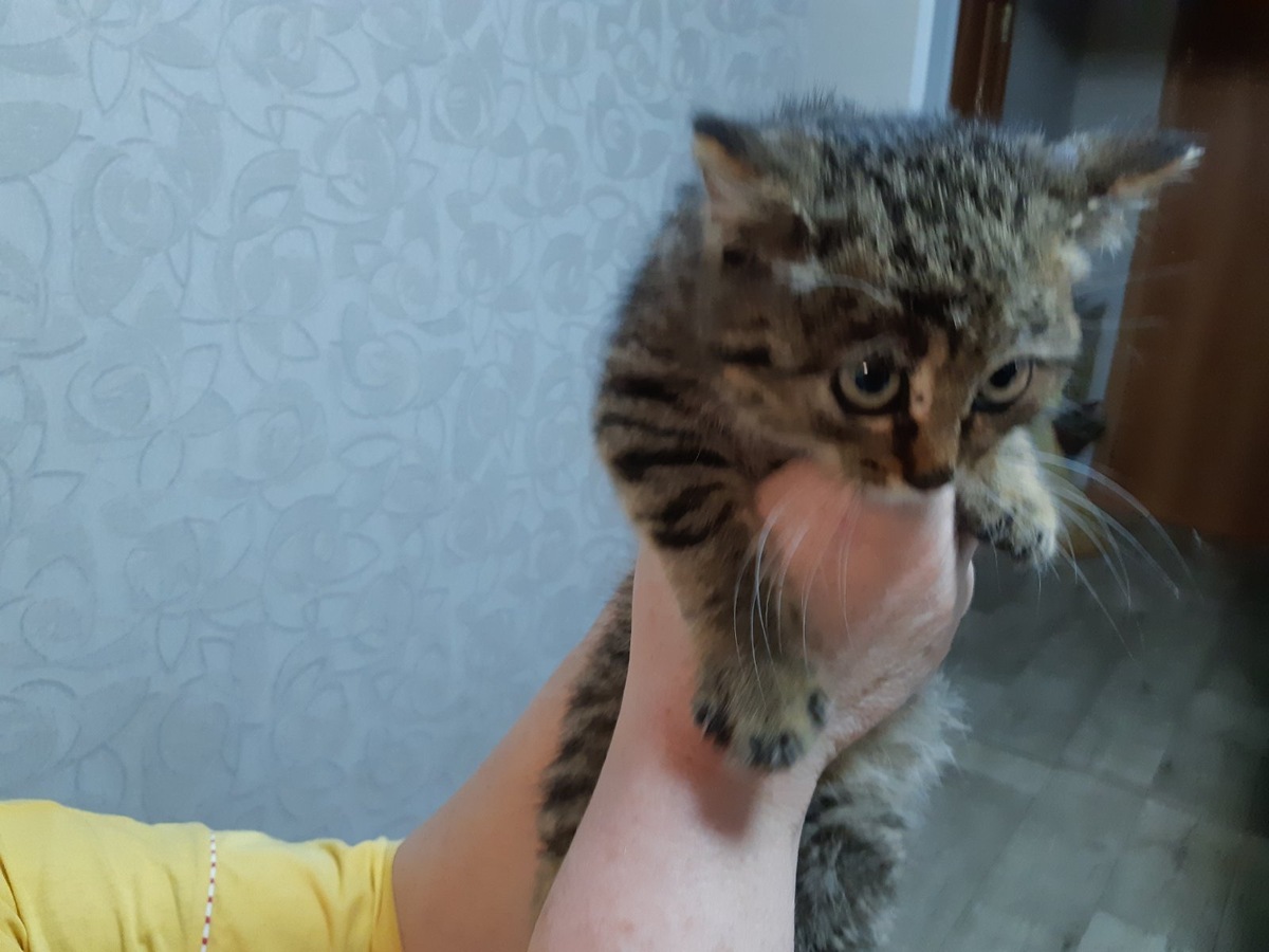 Фото автора Это Тишка