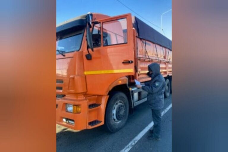    Россельхознадзор Оренбуржья пресек 56 попыток незаконного вывоза зерна в Казахстан Марина Шарт