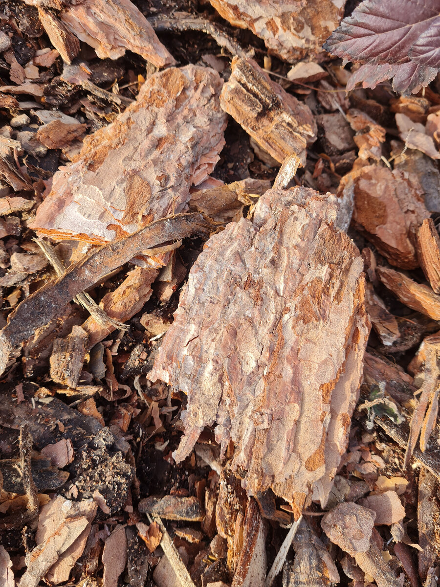 Самые красивые кусочки, которые буду выбирать весной