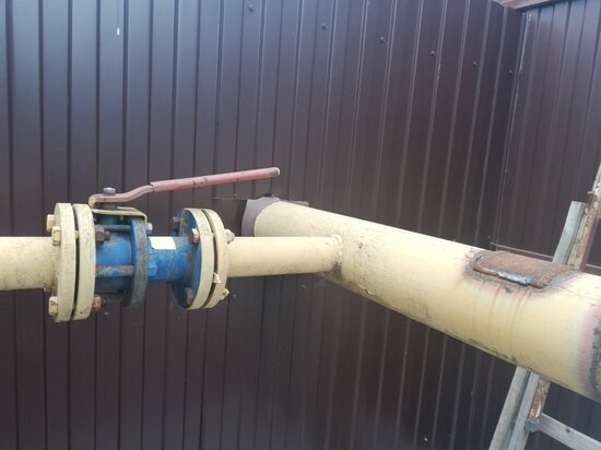     Фото: Илья Котов/МК