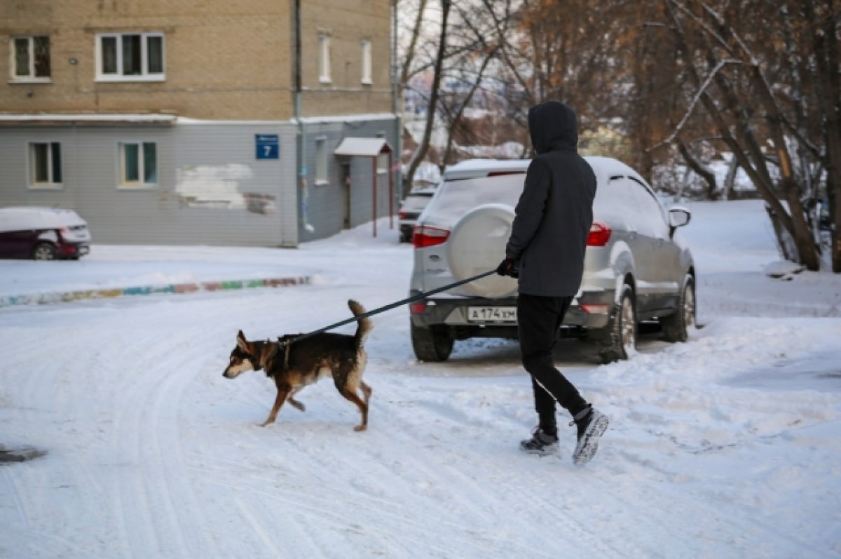    В ближайшие три дня в Новосибирск придут морозы до -28 градусов