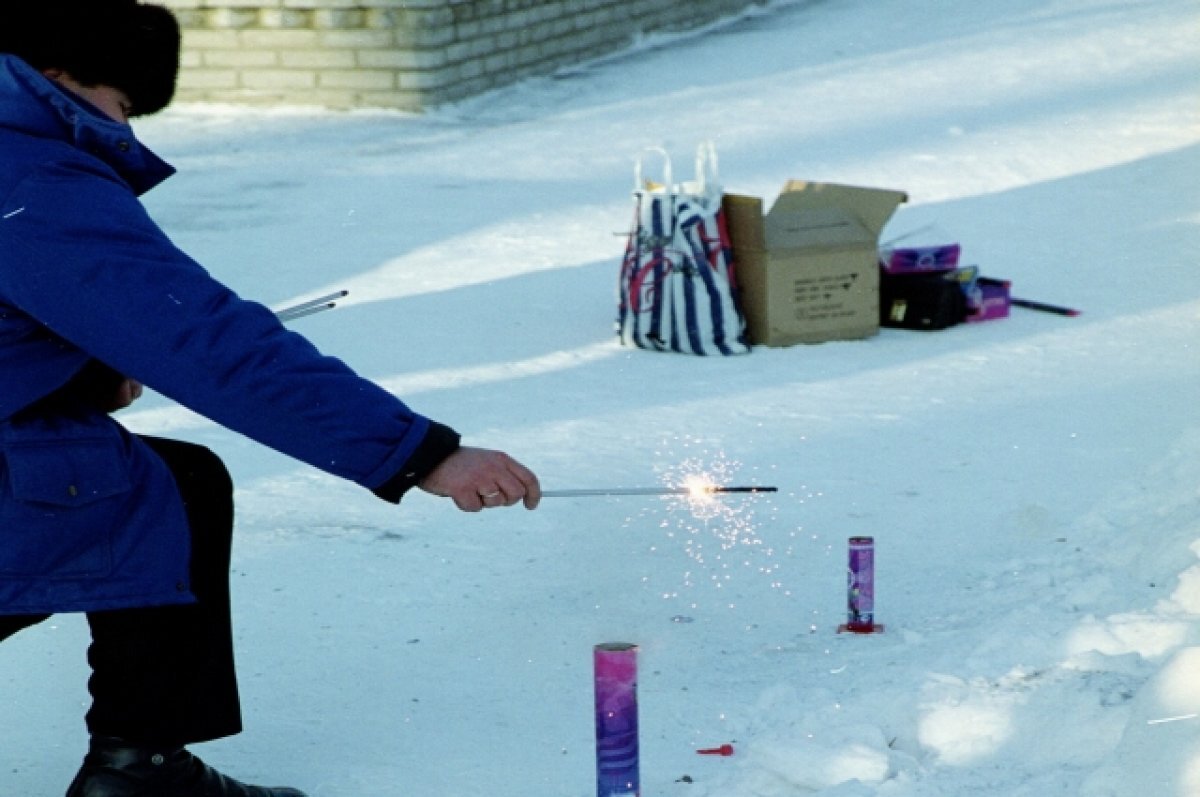    Жителям 33 региона напомнили о правилах безопасности перед Новым годом