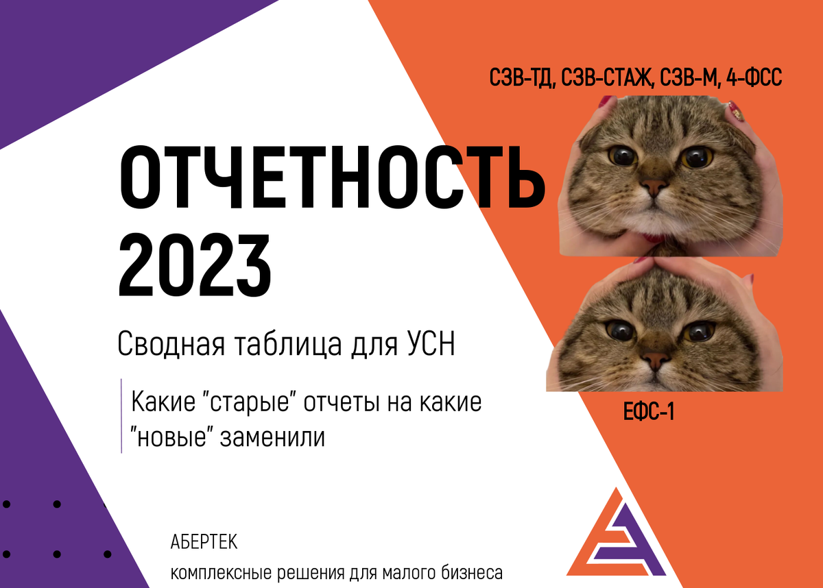 Озон отчетность 2023