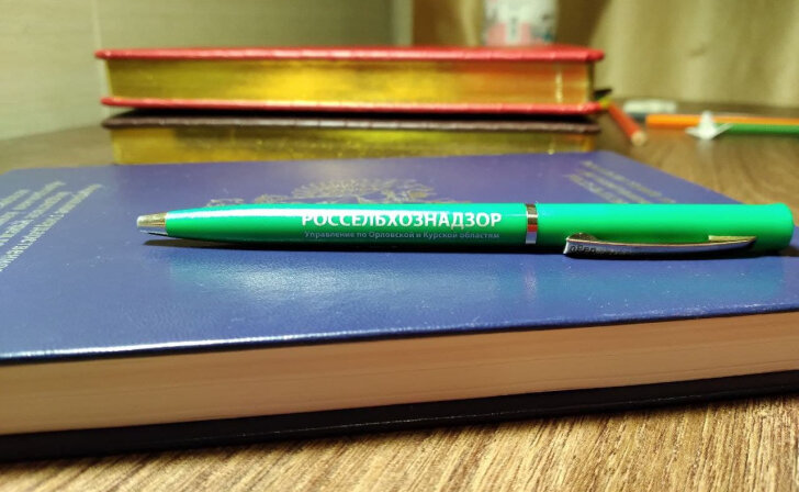    фото из архива Курских известий
