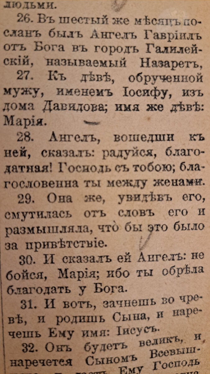 Фото автора.