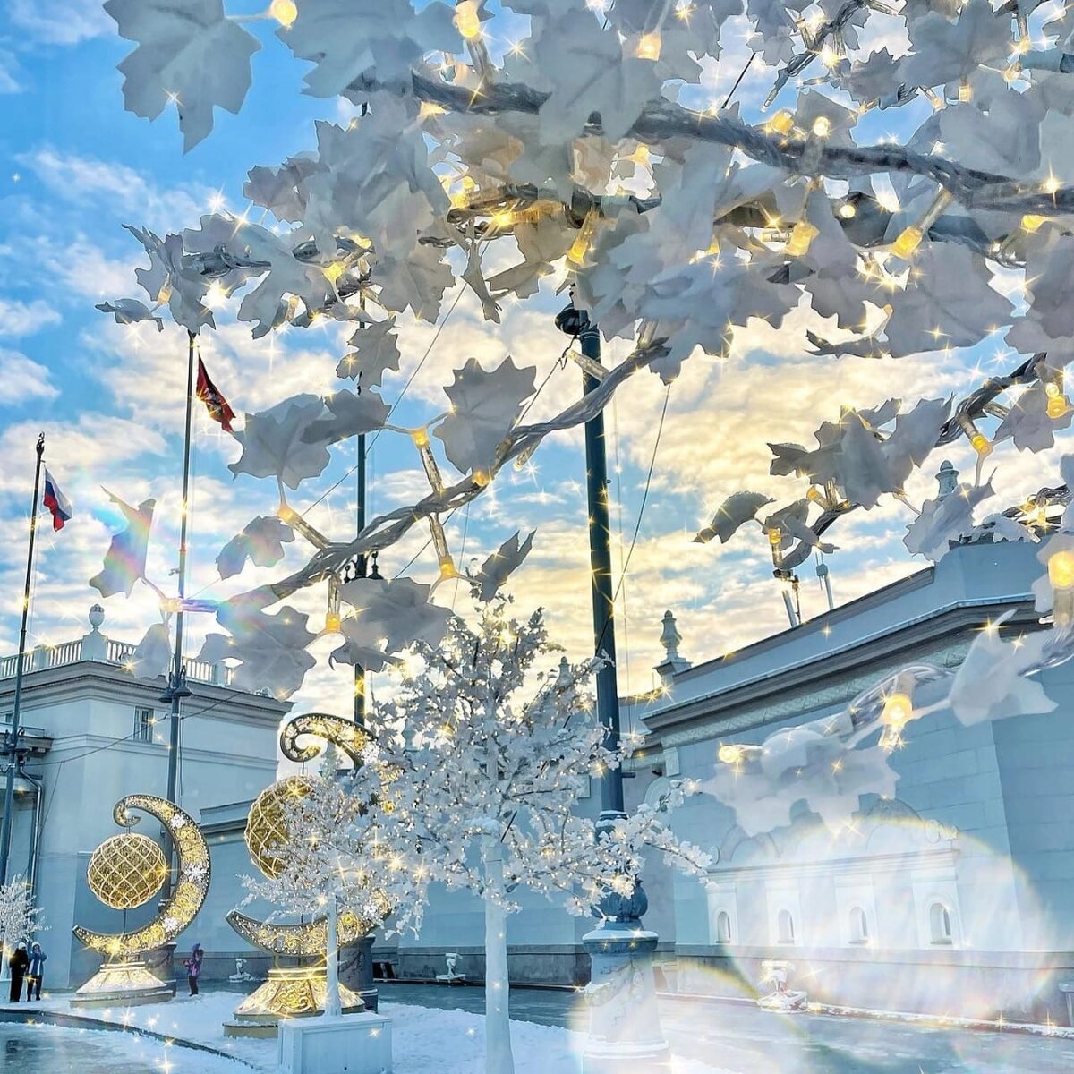 Фото kashtanka_msk