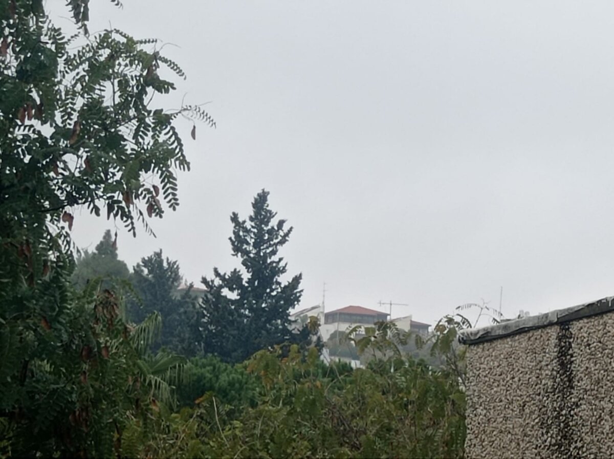 Ну, вот: это "елка", которой был виден только призрачный силует ещё час назад, а за ней не просто здание с запоминающейся архитектурой, я даже знаю, что это что-то типа дома престарелых, огромное здание, и, конечно, никакой горы не видно из этого окна, она с другой стороны. Но, хоть убей, я с утра не могла вспомнить, где гора, и был ли вообще какой-то дом. 