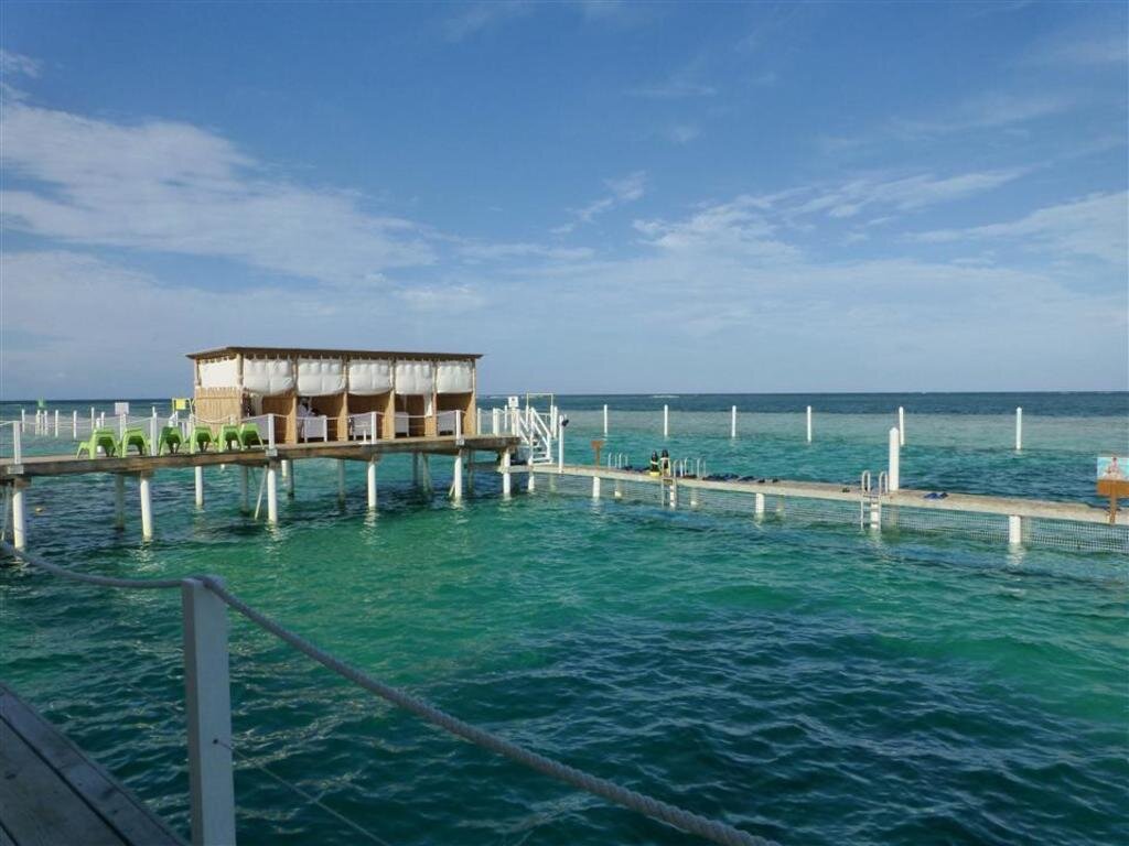 Фотогалерея Морского парка Маринариум