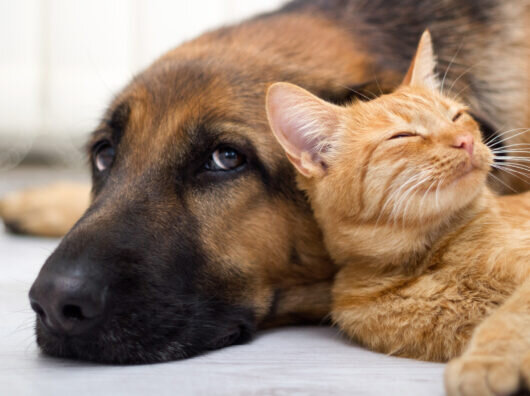    //Фото с сайта techinsider.ru