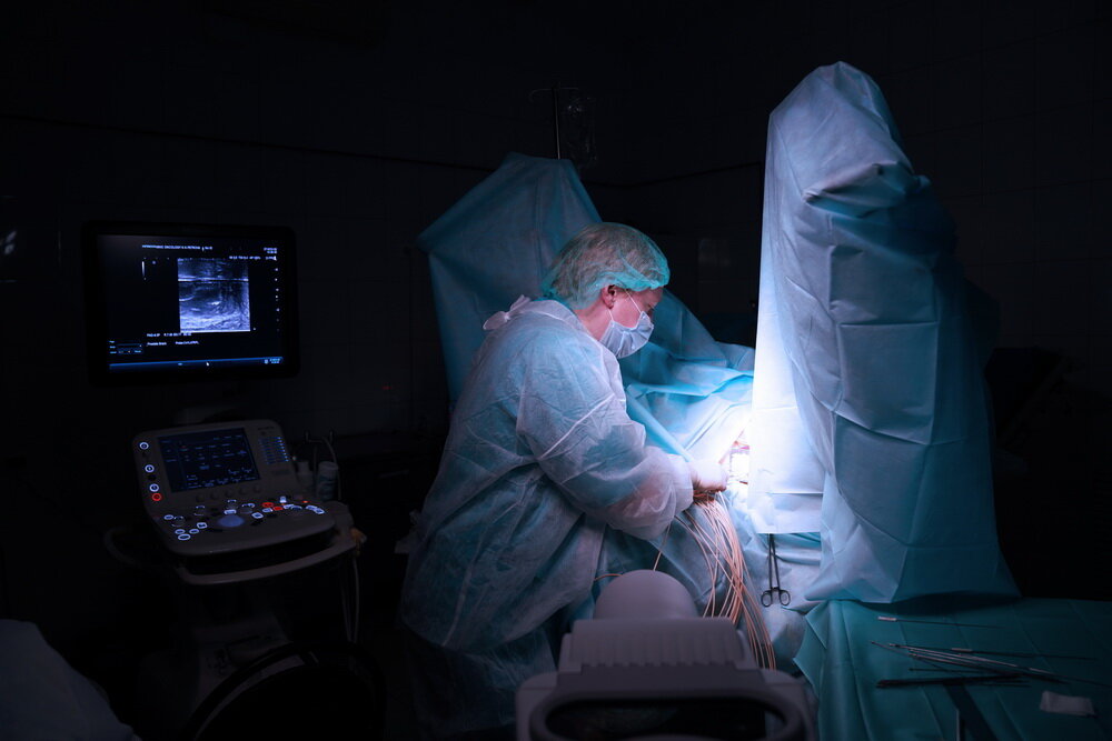 На фото брахитерапия предстательной железы. Источник: НМИЦ онкологии им. Н.Н. Петрова