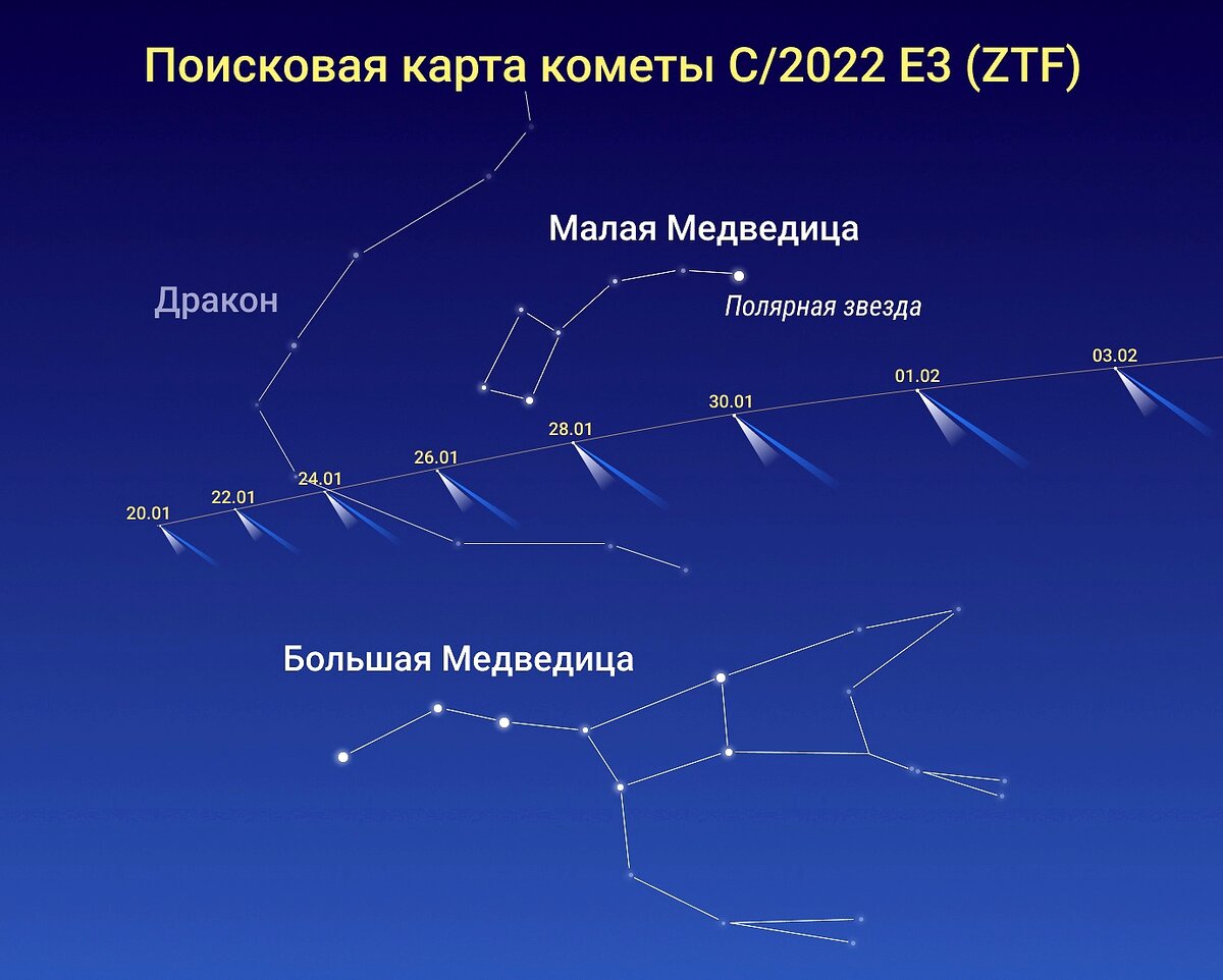 Созвездие большой и малой медведицы