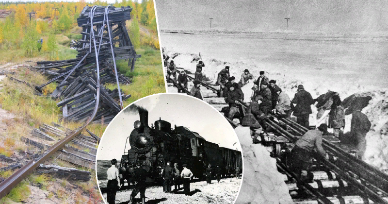 Фото взято из открытых источников.