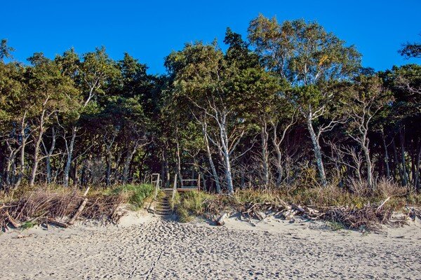 Нашу жизнь наполняет великое множество деталей, делая  дни насыщенными и неповторимыми ... если, конечно, обращаем на это  внимание и позволяем себе их увидеть и ощутить ...    

Куршская коса, Зеленоградск, Калининградская область ...   

  
