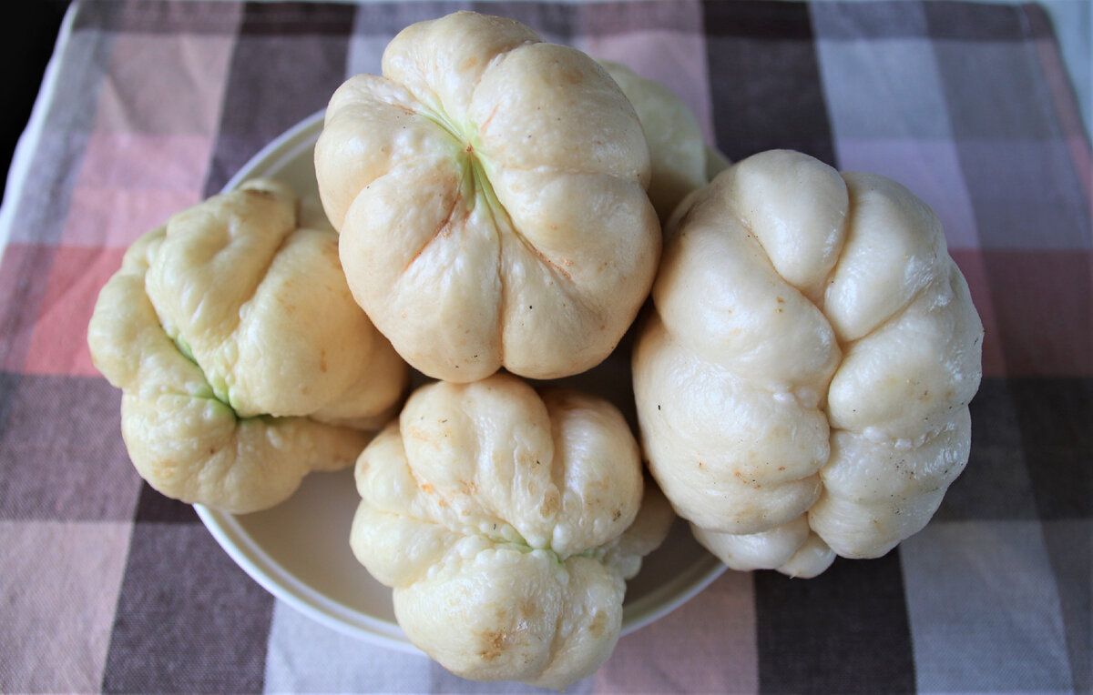 Hayatouri