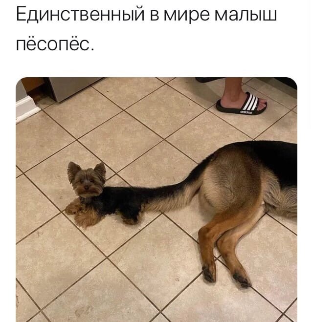 Пропел – тоже проиграл. С тебя лайк