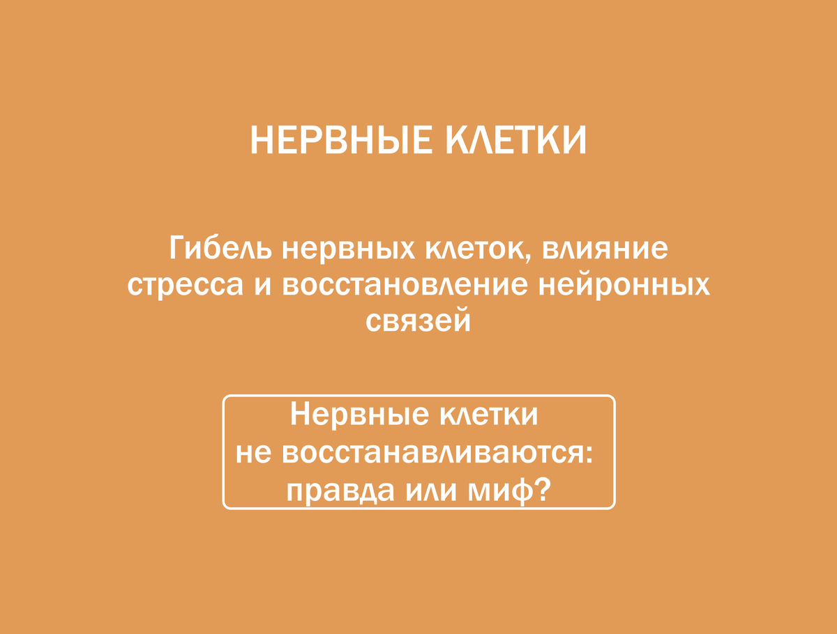 Нервные клетки не восстанавливаются: как помочь организму? | Клиника  интегральной и восстановительной медицины | Дзен