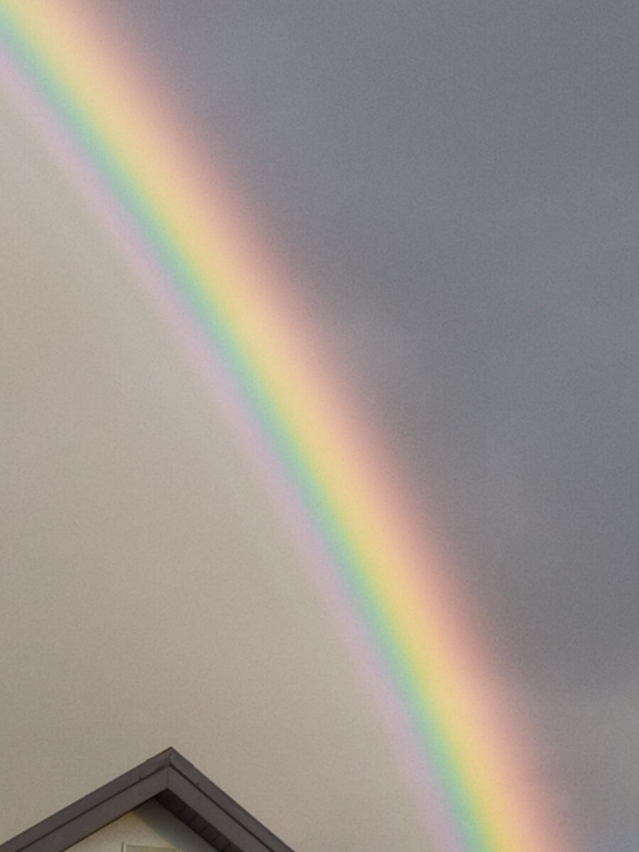 Сейчас так! 
Когда-то эти два простых слова стали для меня якорем, за который я уцепилась, чтобы не унестить в бескрайний, бушующий океан тревог и страхов.
Я не имела ни малейшего представления о том, когда и чем закончится  тот период моей жизни и "сейчас так" стала для меня мантрой, чтобы оставаться в настоящем.

"Сейчас так" может быть каким угодно: радостным, горьким, упоительным, интересным, тревожным, опустошающим.
"Сейчас так"- говорю я и делаю выбор погрузиться в это "сейчас так" ещё глубже, еще острее прожить все эмоции текущего состояния или стать как бы сторонним наблюдателем и отпустить настоящее, позволить ему течь своим чередом и быть именно таким.

"Сейчас так"- думаю я всякий раз, когда что то идет не "так" и хочется исправить весь мир. И я делаю лучшее из того, что доступно мне в этих условиях. Иногда лучшее, что можно сделать, это не делать ничего.

Ничто не постоянно, все течёт и меняется. Какое будет завтра я увижу  только там оказавшись. Но оно тоже будет "сейчас так".
