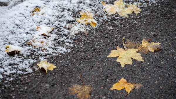   © Sputnik / Тимур Батыршин