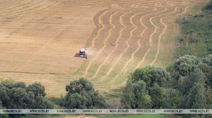    Фото из архива