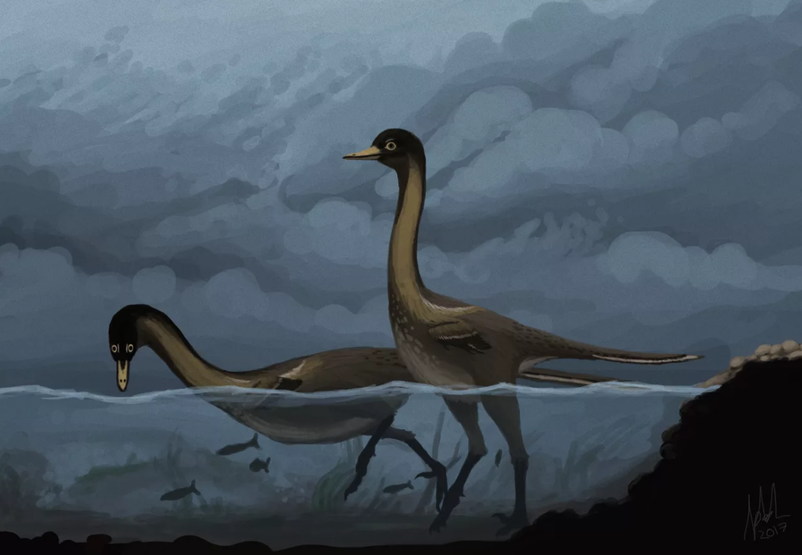 — Бабушка, а зачем тебе такая длинная шея? 
— Чтобы рыбачить, внученька. 