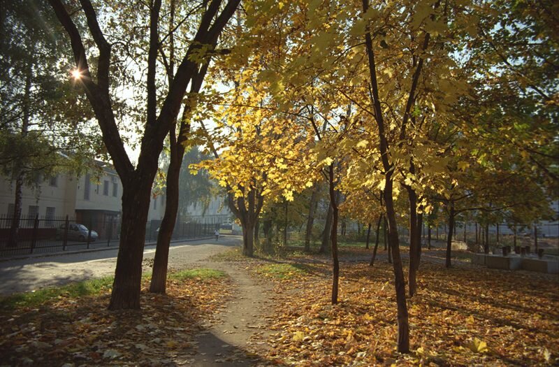 Ул осенняя. Осенняя улица Москва. Ранняя осень в Москве. Осень бульвар. Осенний парк МГУ.