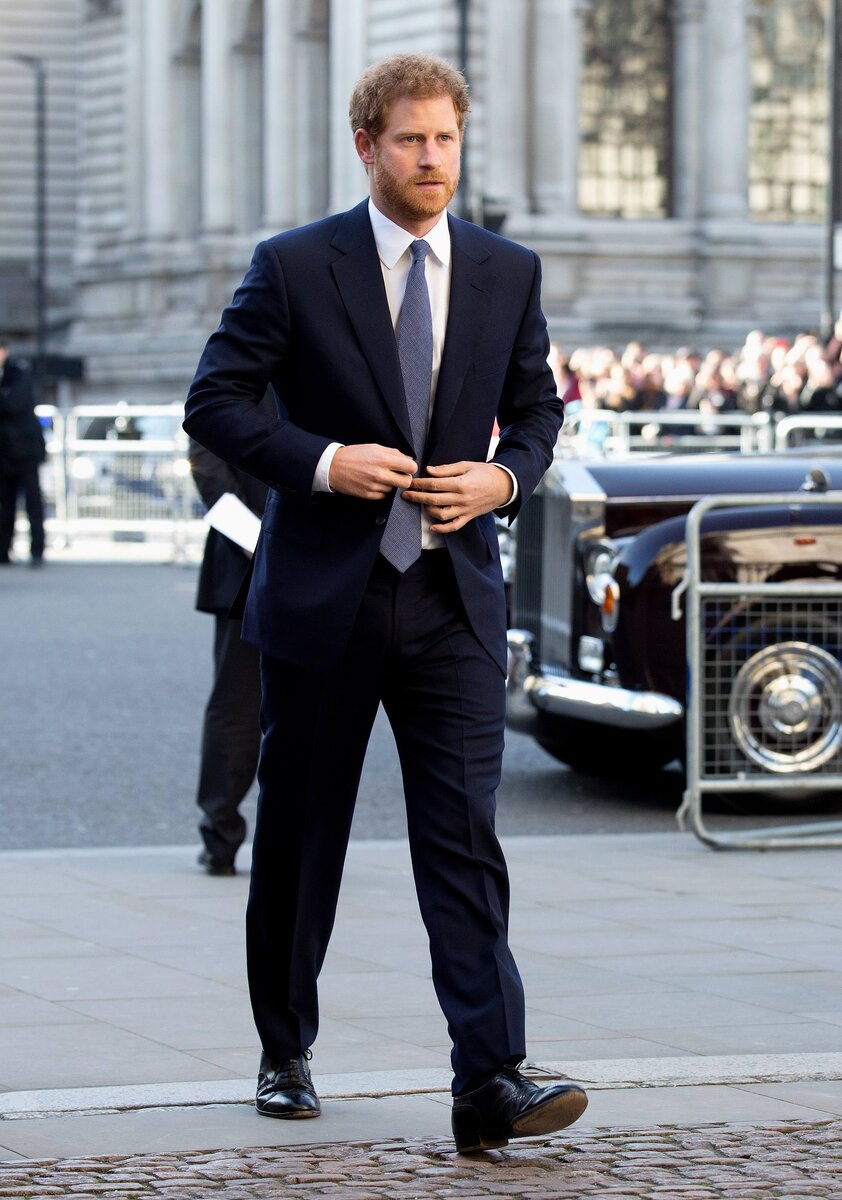    Принц ГарриLegion-media