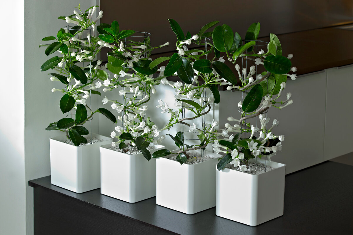 Источник изображения: Яндекс картинки 