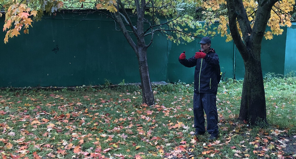 Осенний Чжан-чжуан