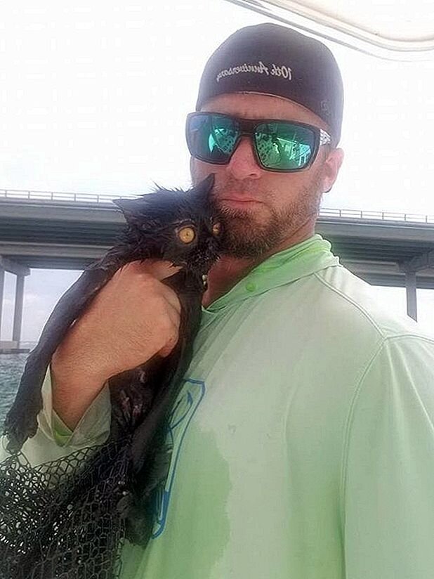 Джордан Смит и спасенная кошка. Источник фото: https://ru.myhappypetshop.com/13371-just-15-of-the-wackiest-cats-we-found-on-the-web-this-week