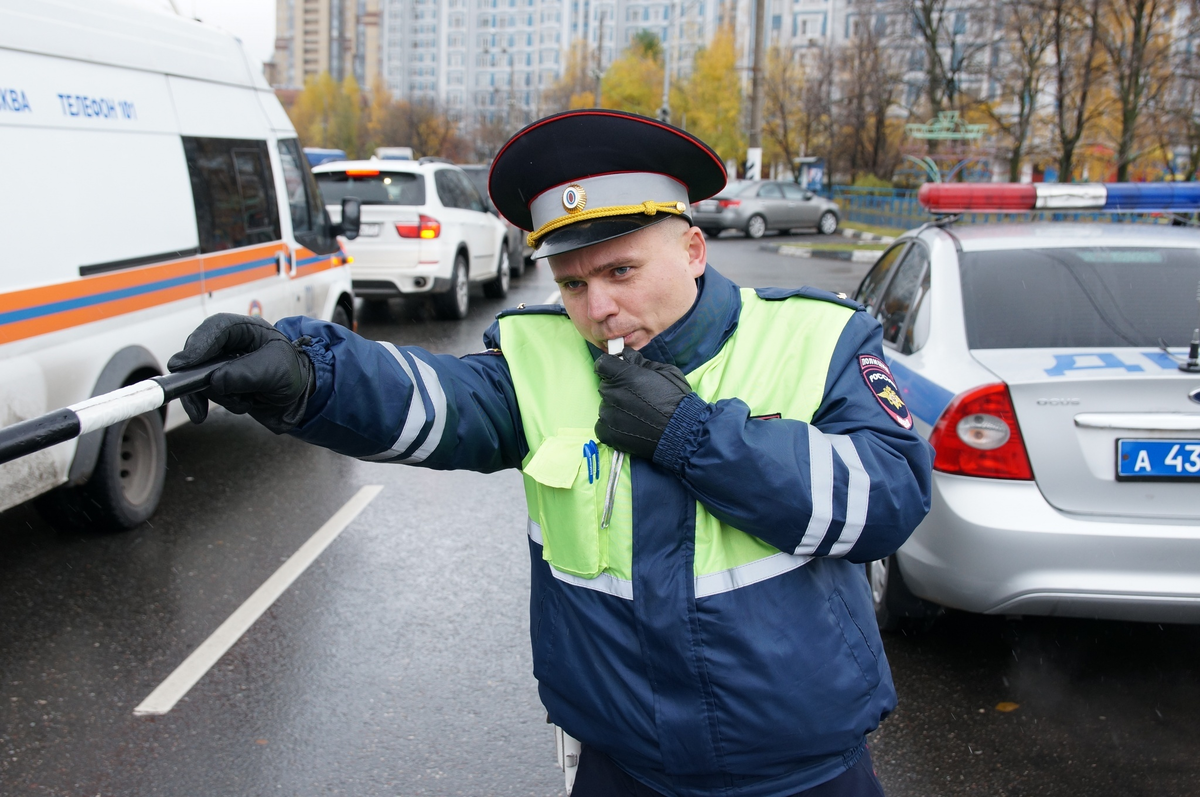 Осаго хотят отменить