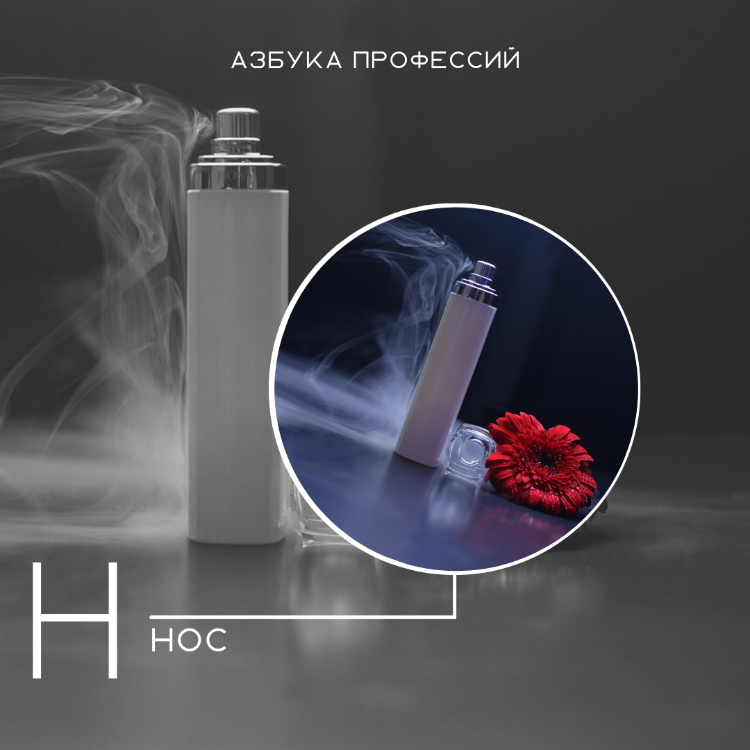 Белмета лида. Профессии на букву н.
