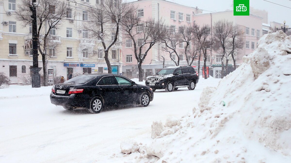    Фото: РИА Новости © 2022, Евгений Переверзев