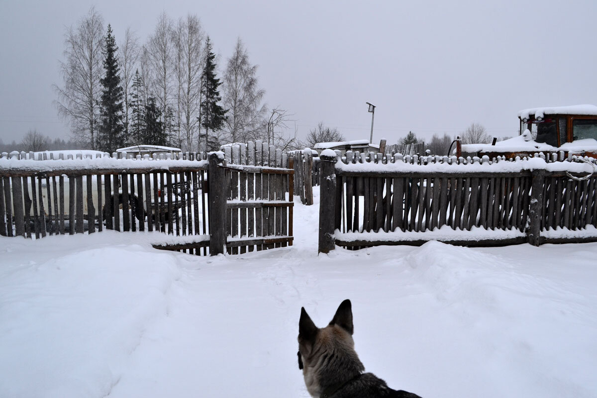 Налево от крыльца