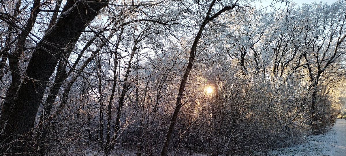 Фото автора канала