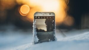    Фото: STil / imagesbase.ru Ирина Мудрых