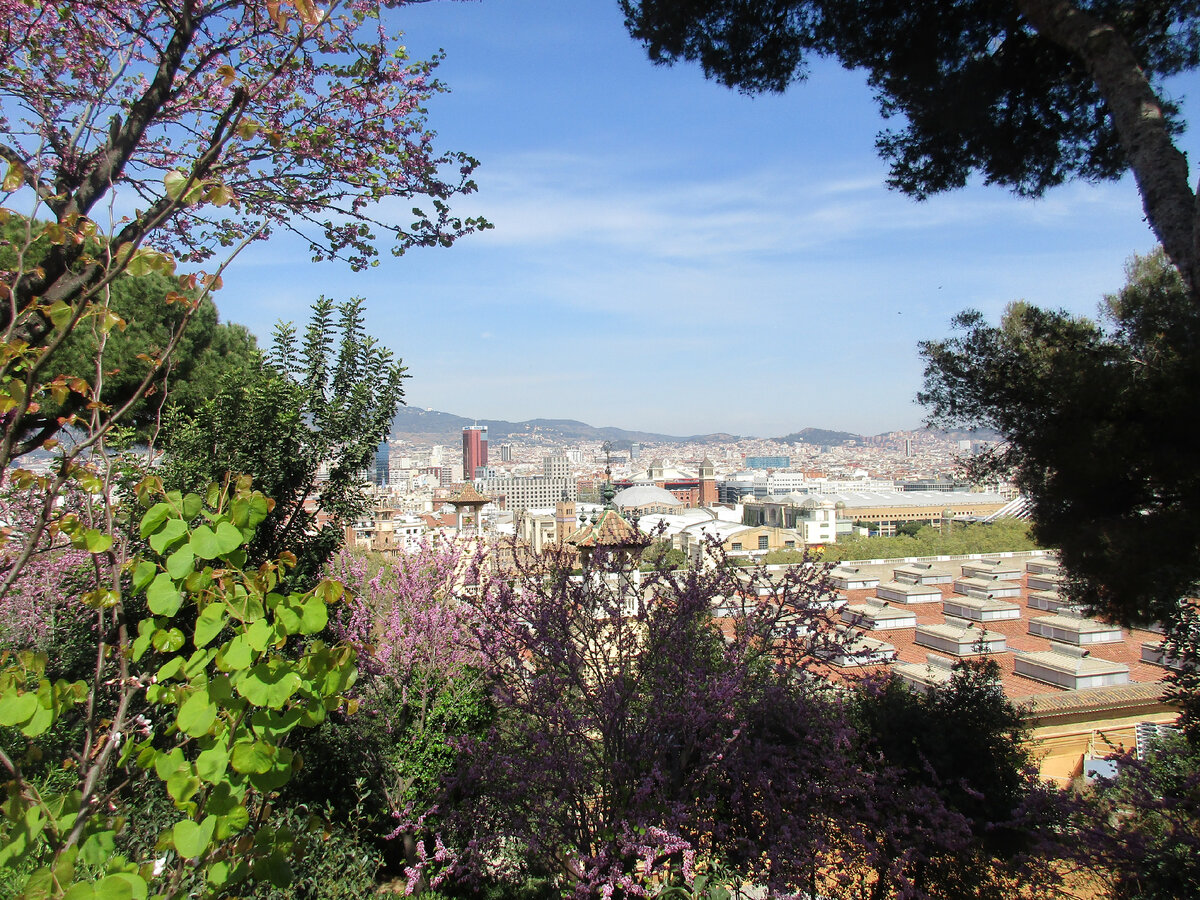 Вид на крыши Барселоны с горы Монжуик