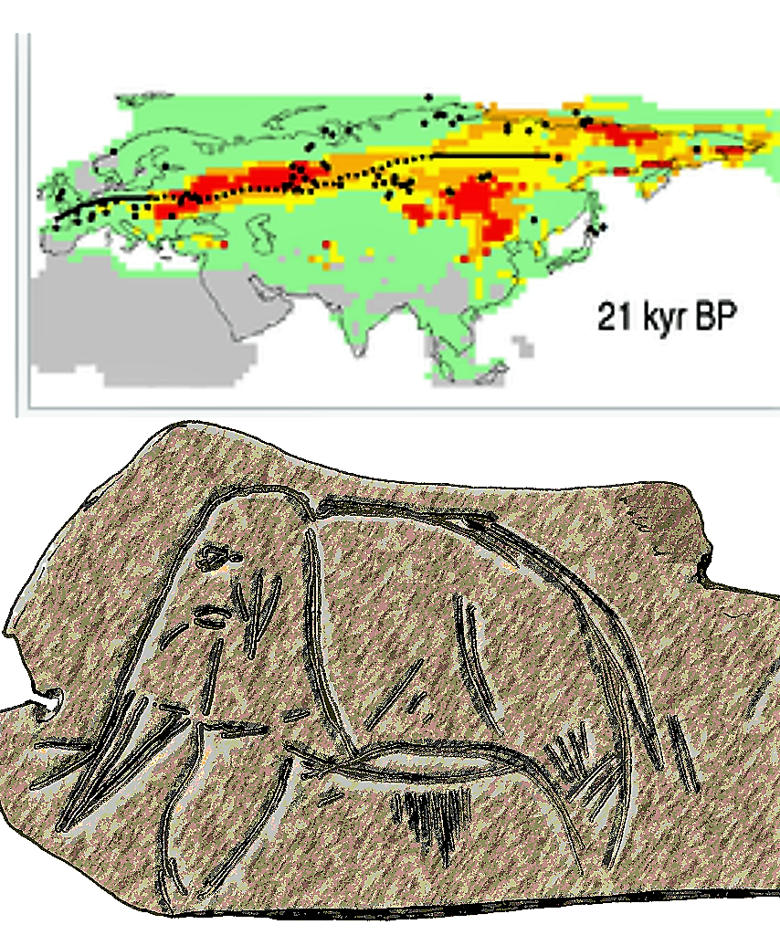Изображение Мамонта со стоянки Мальта. Красным указаны места наиболее благоприятные для мамонтов во время пика оледенения.  Авторство: David Nogués-Bravo