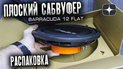 Плоский сабвуфер в машину | Распаковка DL Audio Barracuda 12 Flat