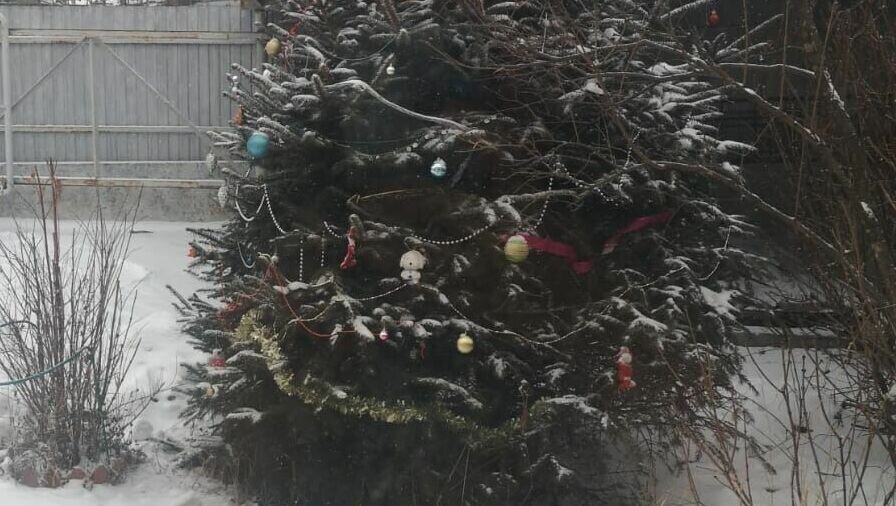     Муниципалитеты Приморья начали отменять занятия в школах в связи с буйством стихии. Школьники Находки могут завтра и послезавтра не ходить на занятия совершенно законно.