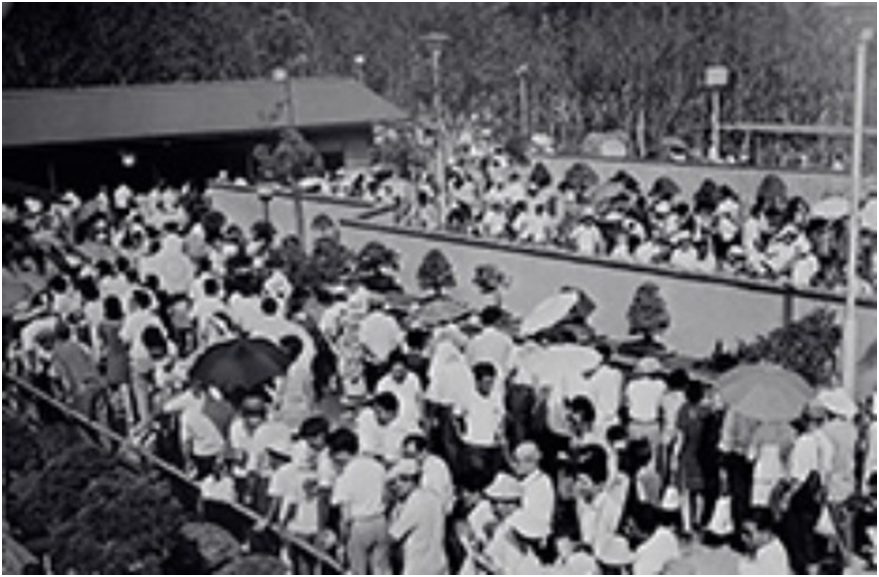 На Всемирной выставке в Японии (Экспо), Осака, 1970 год. Источник: http://omiyabonsai.jp/history
