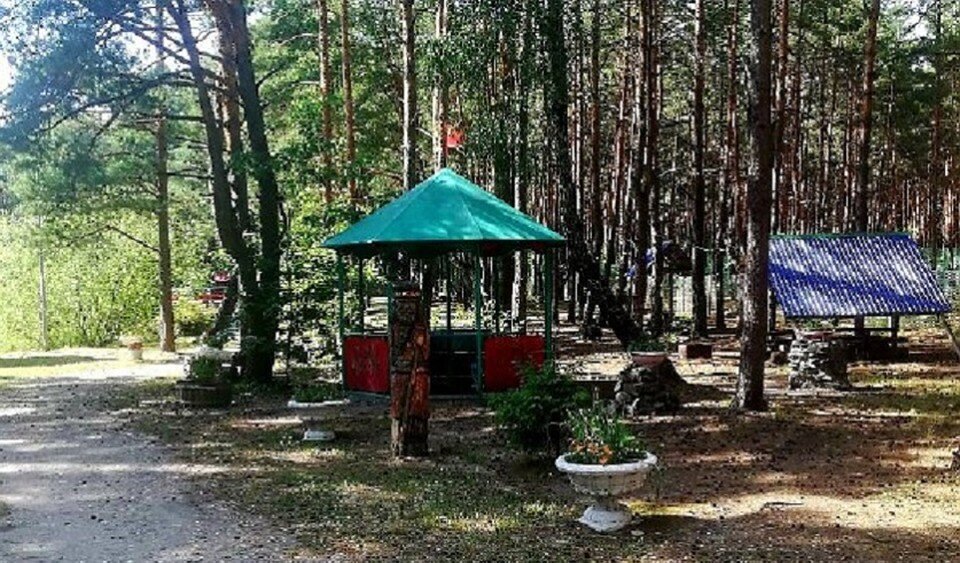     ЧП произошло в зоне отдыха недалеко от Солигорска. Фото: Следственный комитет Беларуси.