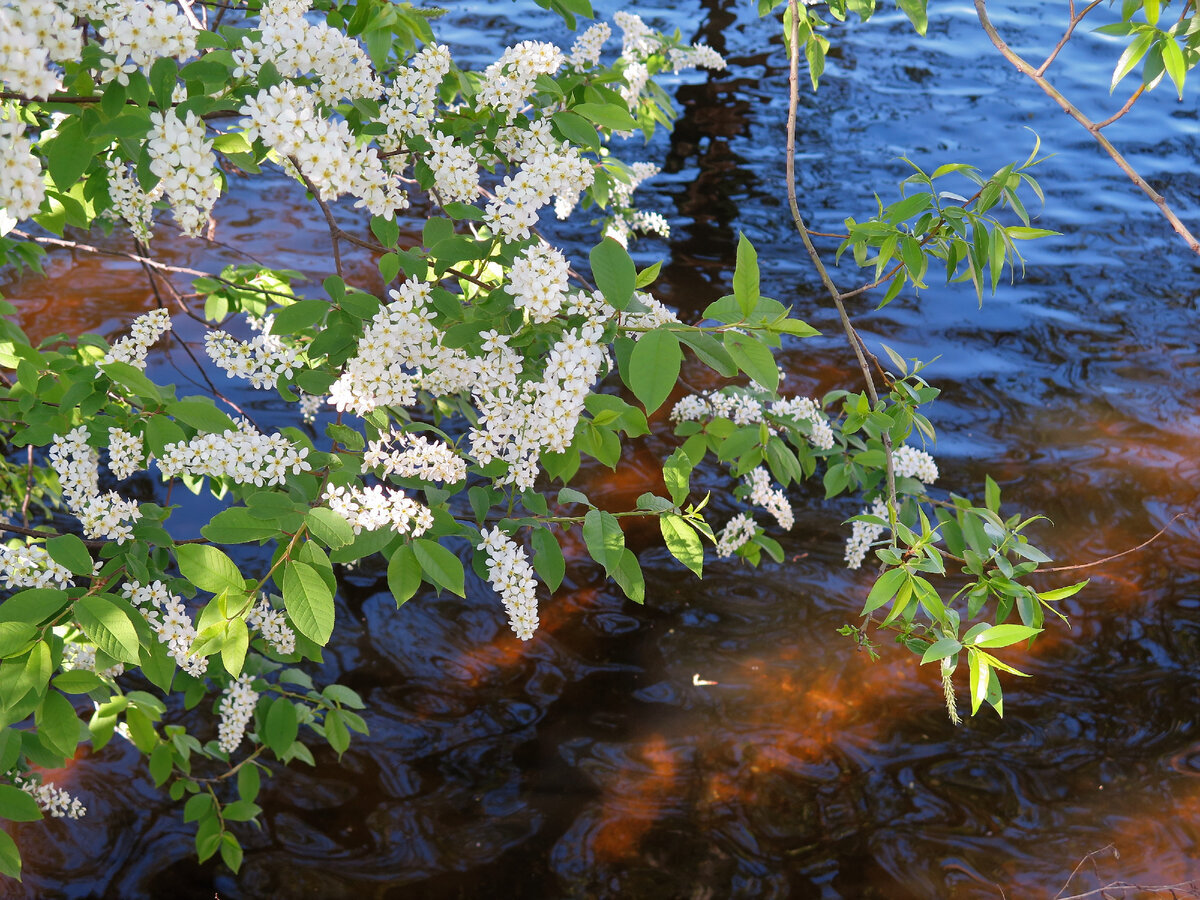 Картинка из интернета.