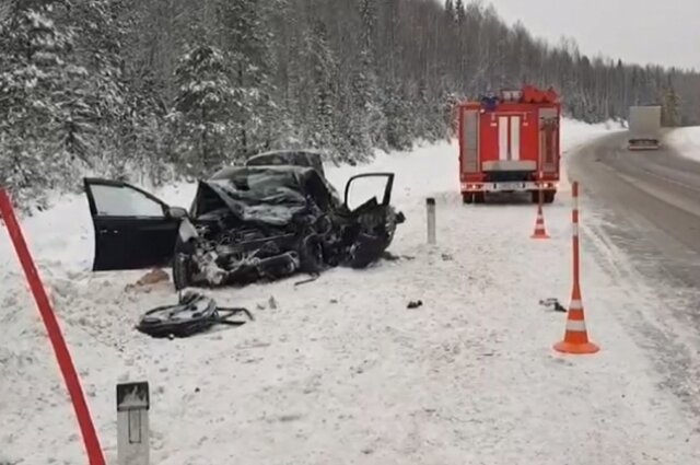    Фото: Скриншот из видео