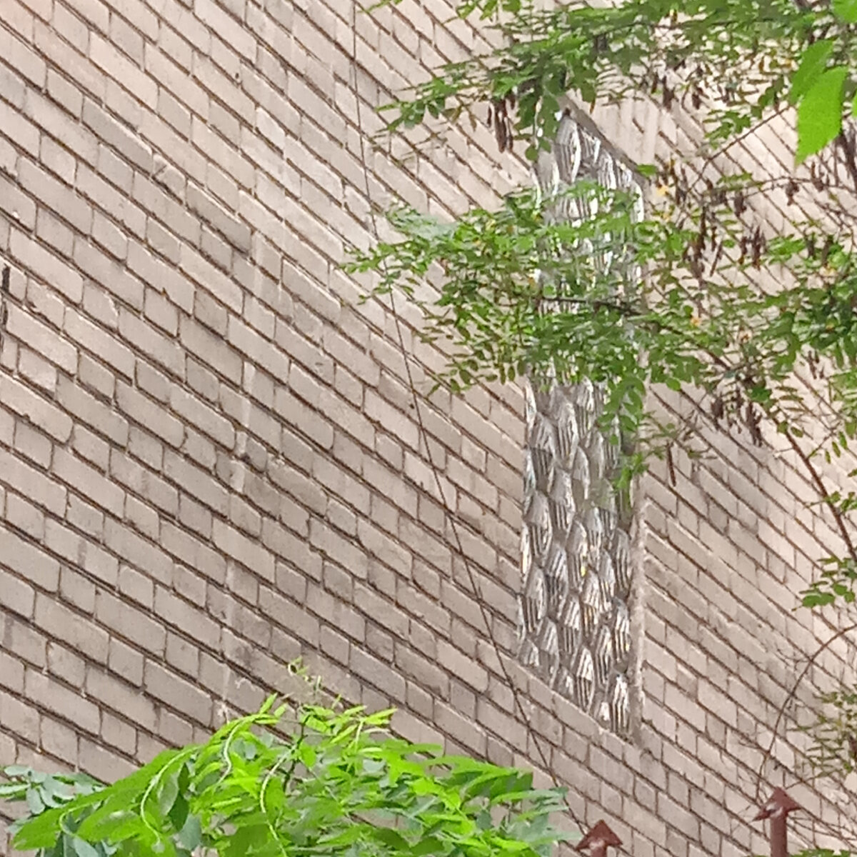 Бриллиантовое Фальконе на улице Пушкина в Саратове