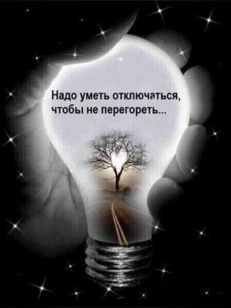 интернетовская мудрость