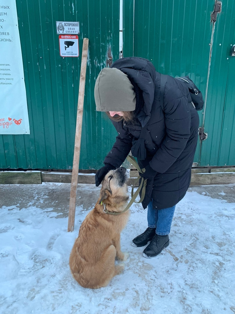 Отъезд Сальвадоры